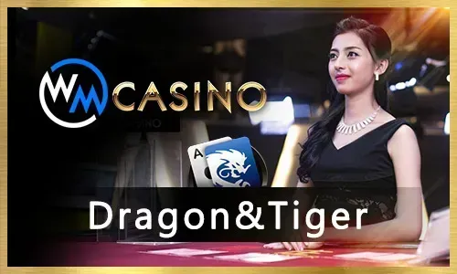 Online Bingo Rewards